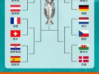 开云体育入口-荷兰队惨遭淘汰，解读欧洲杯落选原因