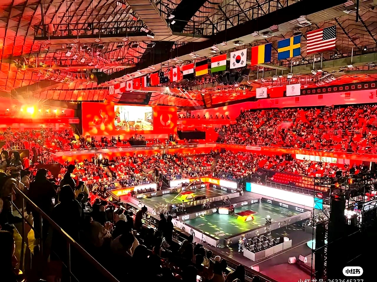 沙尔克球迷聚集欢呼，球队笑傲赛场的简单介绍